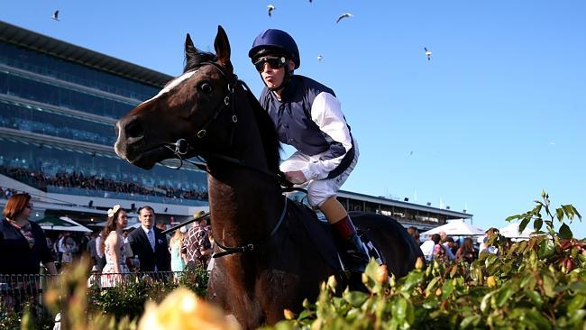 Jet Away needs to win the Lexus to secure a Melbourne Cup start. Picture: Petch Colleen