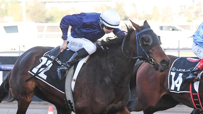 The Map wins the Andrew Ramsden at Flemington in May. Picture: Brett Holburt-Racing Photos via Getty Images