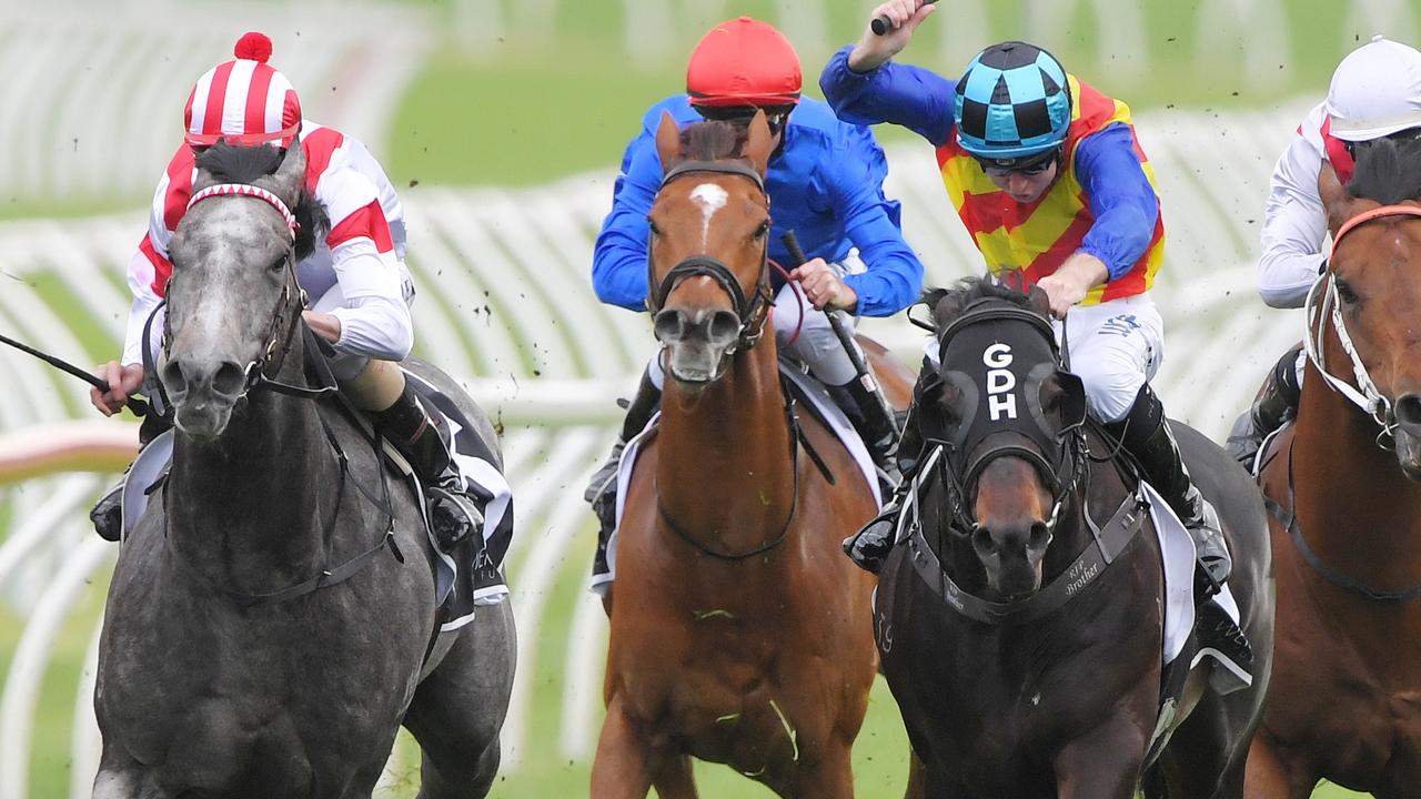 Classique Legend (left) produced a cracking first-up second to Pierata in The Shorts. Picture: AAP