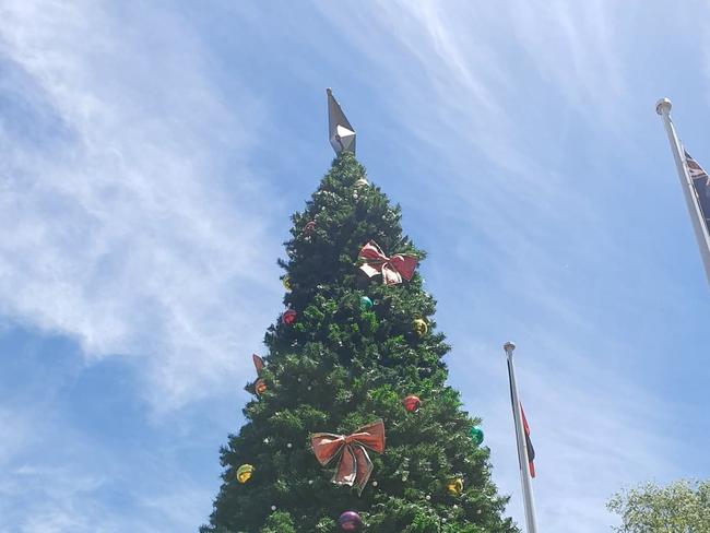 The Albury City Council Christmas tree located at QEII Square.