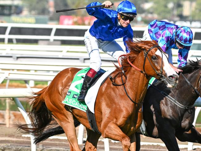 MELBOURNE, AUSTRALIA - MARCH 30: Ben Melham riding Cascadian defeats Declan Bates riding Pride of Jenni in Race 8, the Tab Australian Cup, during Melbourne Racing at Flemington Racecourse on March 30, 2024 in Melbourne, Australia. (Photo by Vince Caligiuri/Getty Images)