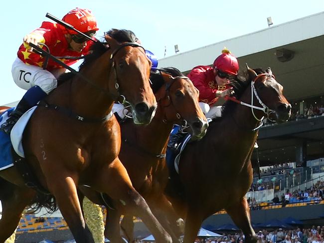 SYDNEY, AUSTRALIA - NOVEMBER 09: Tim Clark riding North England wins Race 6 Inglis Golden Gift during Sydney Racing at Rosehill Gardens on November 09, 2024 in Sydney, Australia. (Photo by Jeremy Ng/Getty Images)