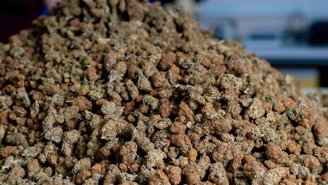 A man arrested after a police raid uncovered a 132kg haul of cannabis is actually in the business of selling mulch to d**kheads, a court has heard. Picture: Che Chorley