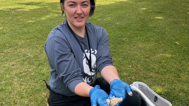 Jess Coghlan from Neighbours of Fish Farming with salmon waste on Parliament Lawns in Hobart on Friday, February 21, 2025.