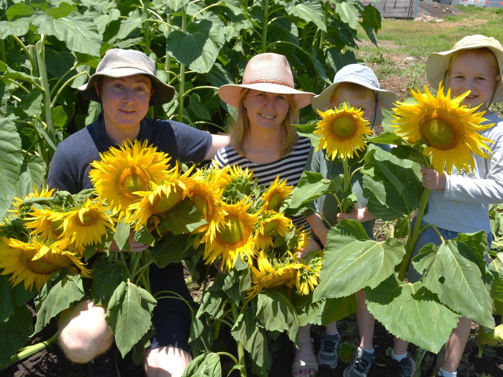 Lilyvale Flower Farm's impressive sunflower crop saw dozens flock to the sunny fields, including (from left) David, Leanne, Cooper and Ethan on Sunday, December 22, 2024. Photo: Jessica Klein