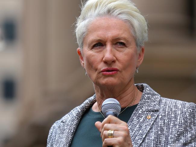 Independent Member for Wentworth Kerryn Phelps speaks during the Reclaim The Streets Rally in central Sydney, Saturday, January 19, 2019. Supporters of pill testing have gathered at a Sydney rally in a bid to pressure the NSW government to allow it at raves and music festivals. (AAP Image/Steven Saphore) NO ARCHIVING