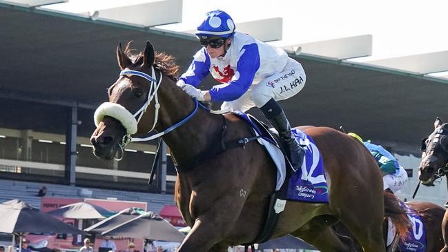 Pounding hasn’t had much luck this spring. Picture: Racing Photos via Getty Images