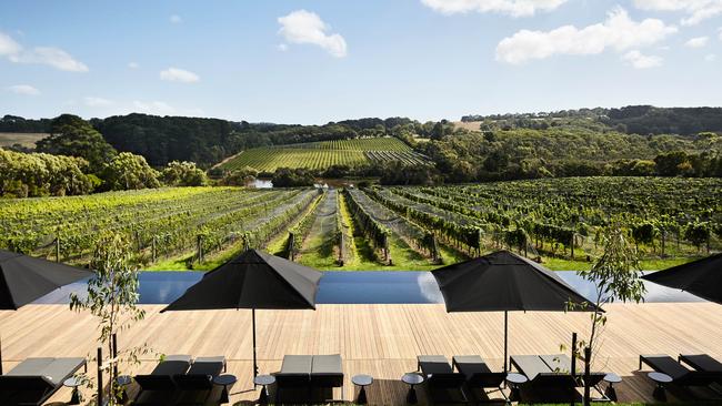 Jackalope hotel pool overlooks vineyards.