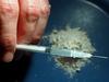 Byron Bay pair charged with cross-border heroin supply
