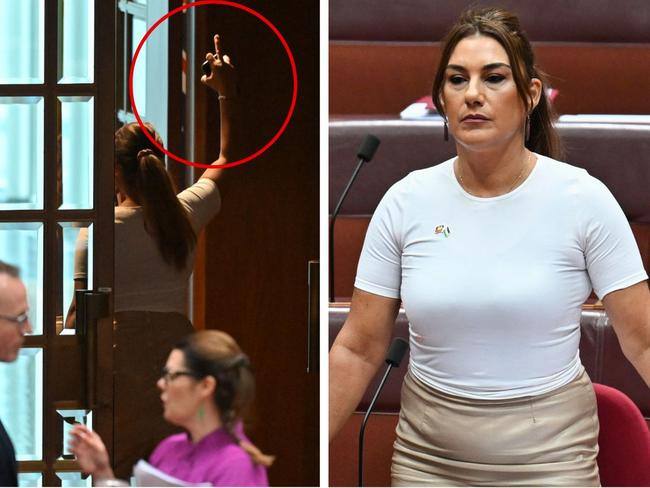 Rogue Senator suspended after Hanson tirade