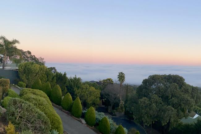 Adelaide shrouded in fog on July 14. Picture: Claire Parkinson