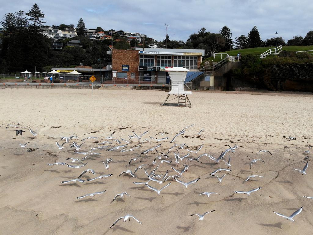 A deserted Bronte beach after being shut down by the government to prevent social spreading of the virus. Picture: Toby Zerna