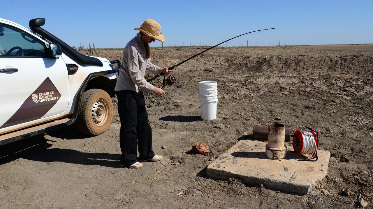 Charles Darwin University researchers tested water samples taken from underground aquatic systems at potential fracking sites at the Beetaloo Sub-basin and Roper River region to test for stygofauna.