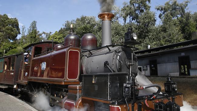 Who needs Puffing Billy when you can have someone blowing cigarette smoke in the backyard? Picture: David Caird