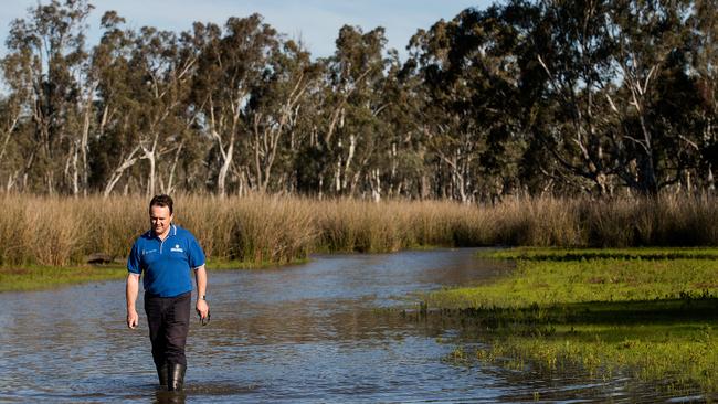 Regulated flooding of the Gunbower National Park is one of nine Victorian Murray Floodplain Restoration Projects that has not been delivered.