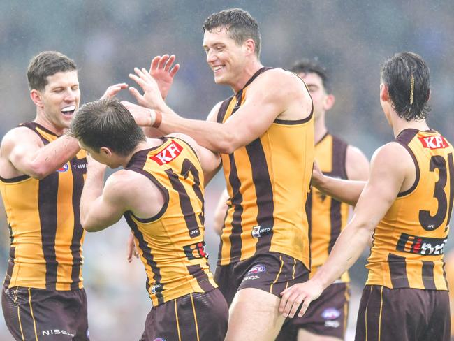 Hawthorn will return to the Tasmania for 2026 and 2027 playing eight games across the two seasons. Picture: Simon Sturzaker/AFL Photos/via Getty Images)