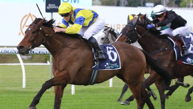 Mahagoni can continue his good form and make it two in-a-row at Randwick on Saturday. Picture: Grant Guy