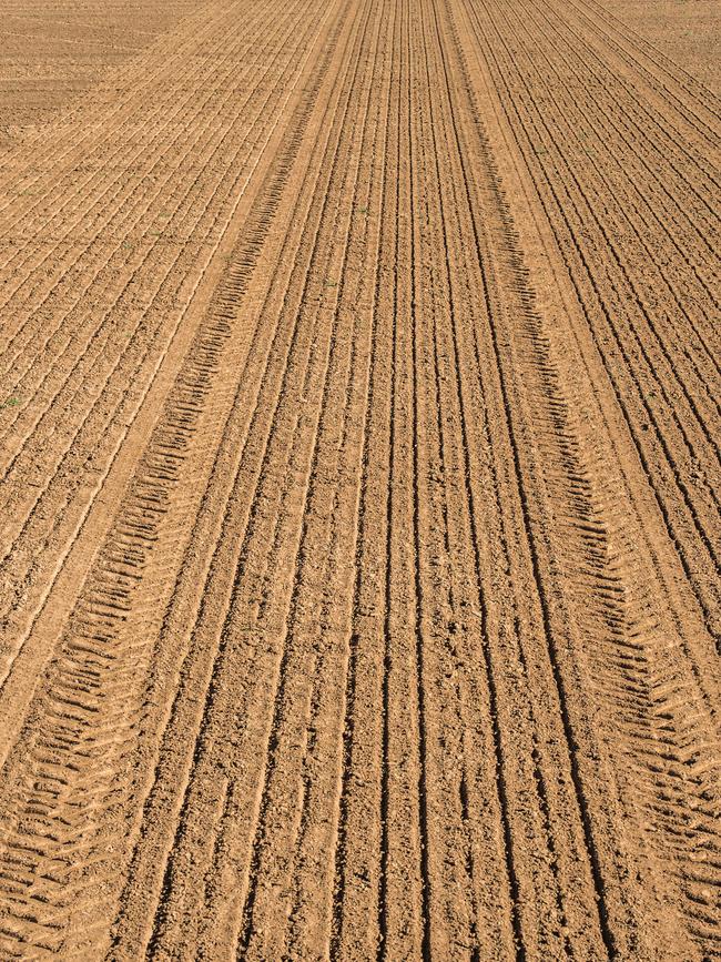 A barley farm in Elmore, Victoria. Picture: Zoe Phillips