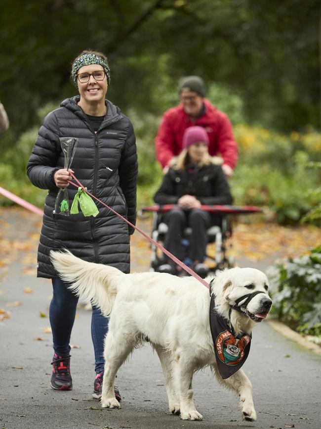 Million Paws Walk in the Adelaide Botanic Gardens, Sunday, May 28, 2023. Picture: Matt Loxton