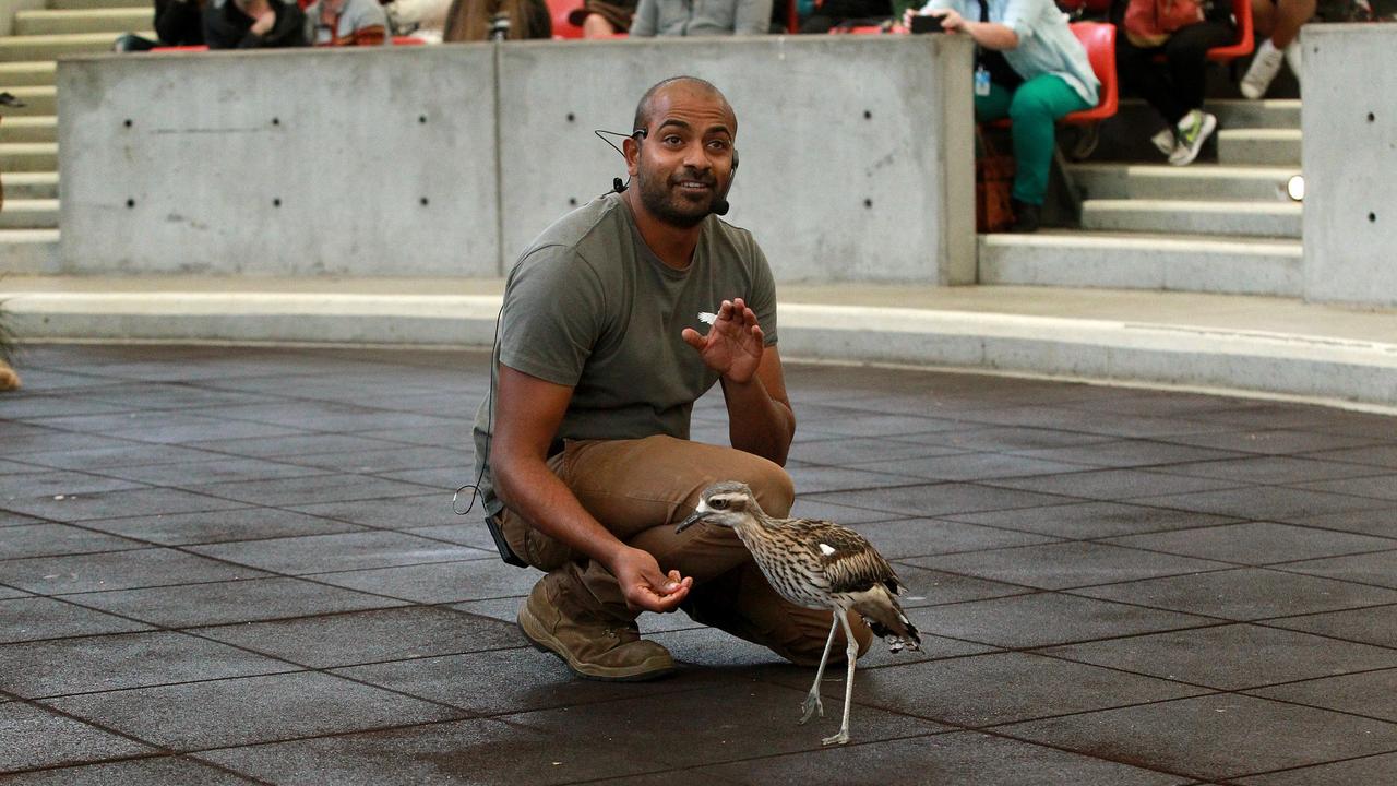 Ravi Wasan at the Sydney Royal Easter Show several years ago.