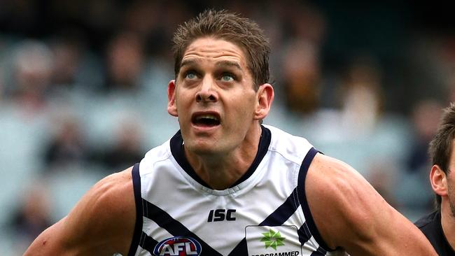 Aaron Sandilands was a SuperCoach bargain — and pointscoring machine — for thousands in 2014. Picture: Wayne Ludbey