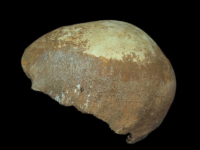 This undated photo provided by the Israel Antiquities Authority on Tuesday, Jan. 27, 2015 shows a partial human skull excavated from a cave in Israel's western Galilee region. Israel Hershkovitz of Tel Aviv University says the bone dates from around 55,000 years ago, about the time scientists believe the migration from Africa reached that area. "This is the first evidence we have of the humans who made this journey," apart from some ancient tools, said Eric Delson of Lehman College and the American Museum of Natural History in New York. (AP Photo/Israel Antiquities Authority, Clara Amit)