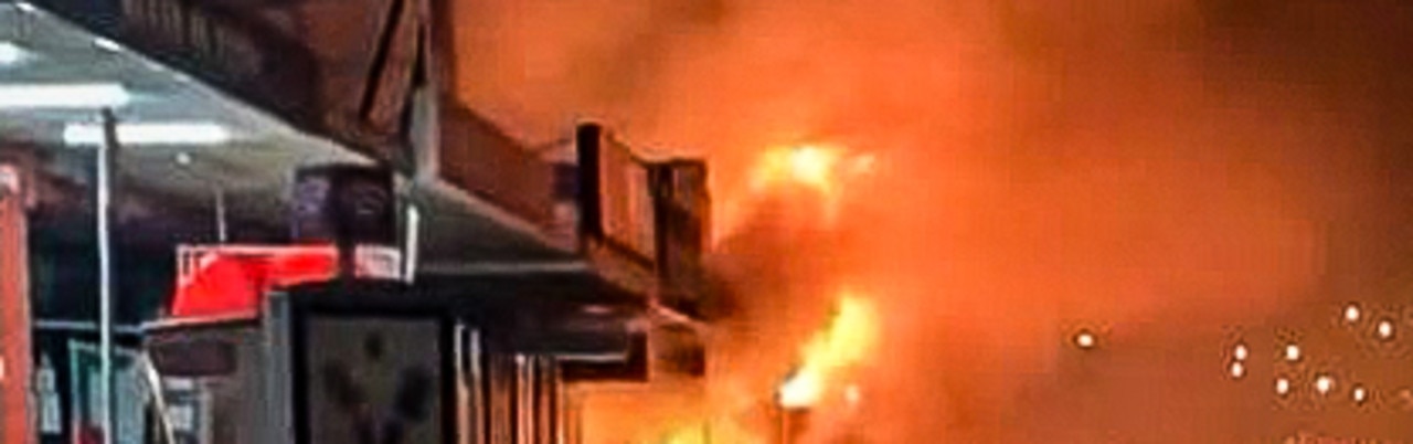 Pets killed in firebombing of store