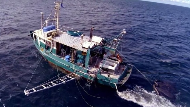 Only one of the seven-member crew of the <i>Dianne </i>survived when it went down in rough seas in 2017.