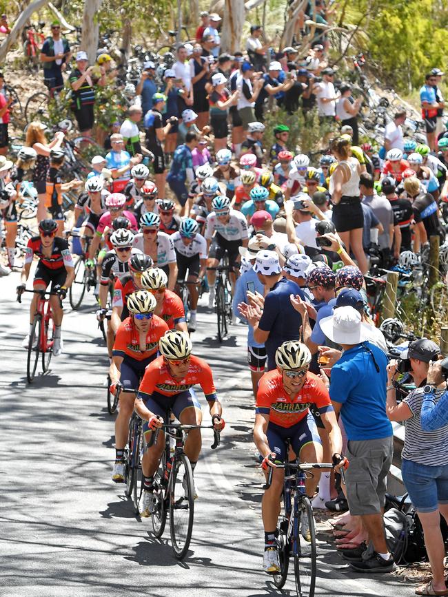 Fans cheer on the Peloton during the Subaru King of the Mountain: Brookman Road, Willunga Hill, during last year’s race. Picture: Tom Huntley