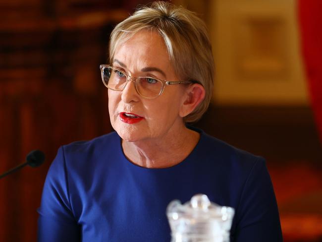 Opposition health spokeswoman Ros Bates during the estimate hearings on Thursday. Picture: Tertius Pickard/NCA NewsWire