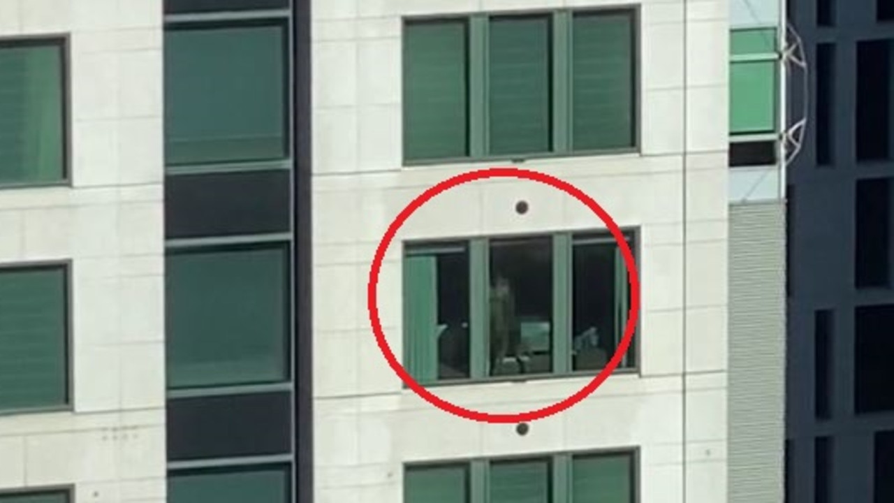 Sydney couple have public sex in CBD hotel with blinds open Video news.au — Australias leading news site foto