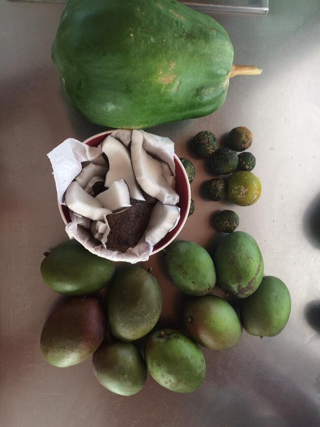 A haul of coconut and other fruits the pair ate during their adventure. Picture: Facebook