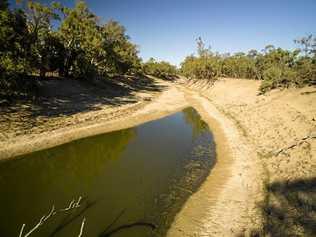 DARLING River at a low ebb. Picture: Max Phillips