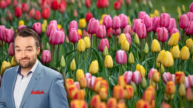 Tulips are most strongly associated with which European country?