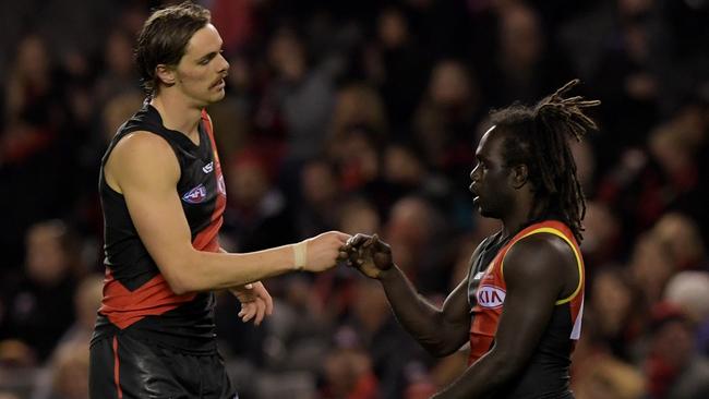 Joe Daniher celebrates a goal with Anthony McDonald-Tipungwuti.