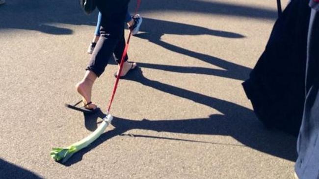 Mystery Woman Busted Walking A Leek On A Leash Around Sydney Daily Telegraph