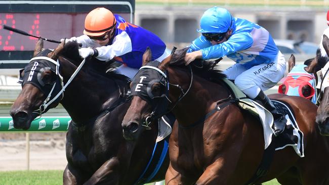 Scout (right) edged out Rothenburg in a tight finish at Doomben. Picture: Trackside Photography