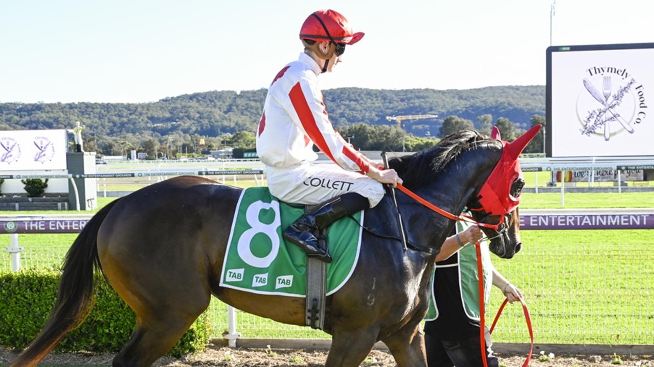 Lion Class looks a great chance at Coffs Harbour. Picture: Bradley Photos