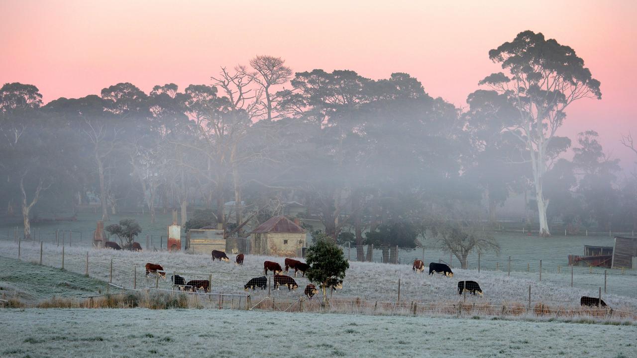 The sun rises over farmland in Meadows. Picture: Sam Wundke