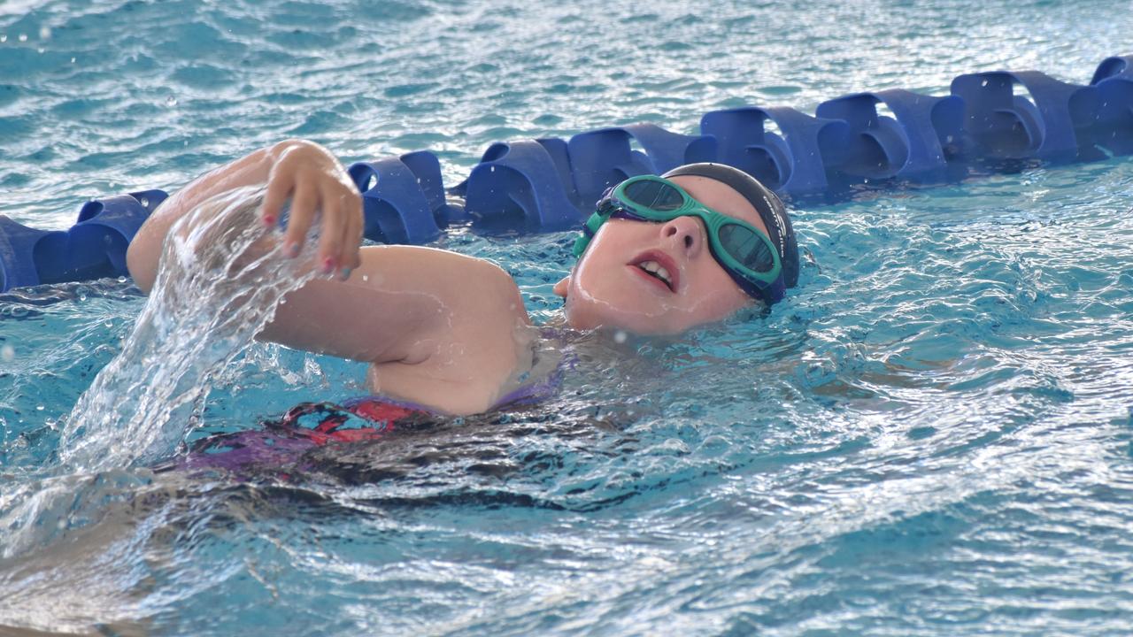 Beef City Swim Meet at 2nd World War Memorial Aquatic Centre, Rockhampton, on October 26, 2024. Photo: Pam McKay