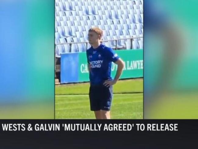 Galvin SPOTTED at Belmore in Dogs gear