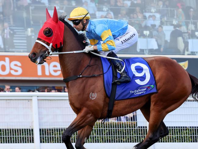 Rubamos at Caulfield when trained by Chris Waller. Picture: George Sal-Racing Photos via Getty Images