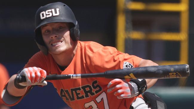 LOS ANGELES, CALIFORNIA - MAY 14: Travis Bazzana #37 of the Oregon State Beavers bunts during a game against the UCLA Bruins at Jackie Robinson Stadium on May 14, 2023 in Los Angeles, California. (Photo by Katharine Lotze/Getty Images)