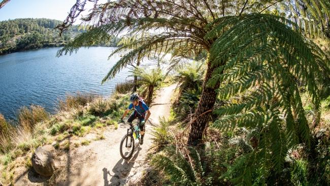 The Blue Derby Mountain bike trails encompass some of the most stunning landscapes in Tasmania. Picture: Tim Bardsley-Smith