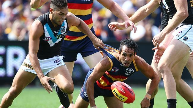 SHOWDOWN 40 CROWS V PORT