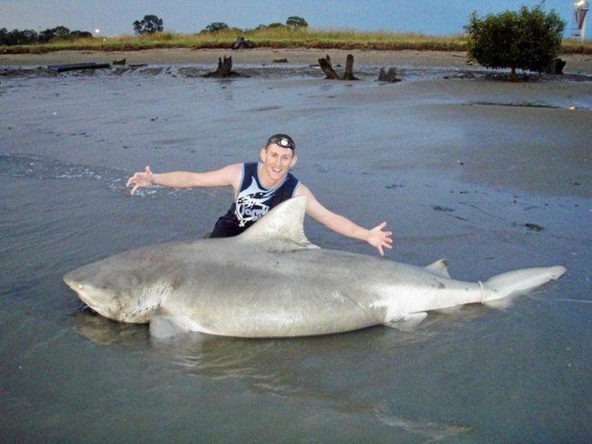 A giant bull shark caught in the Brisbane River by Terry Hessey. Picture: Contributed