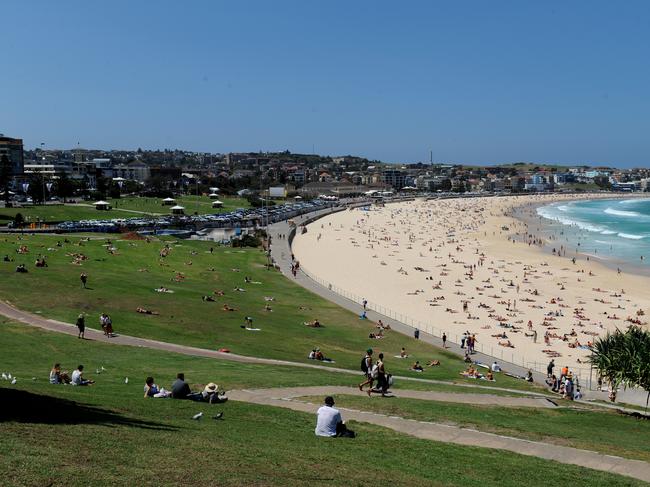 Bondi Park is being considered as one location for the relaxing of alcohol restrictions. Picture: Dan Himbrechts