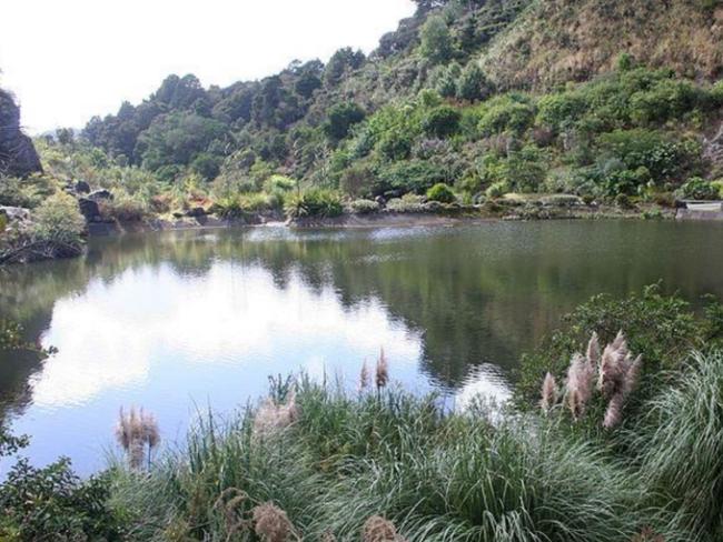 Other rehabilitated quarry sites.Whangarei Gardens.