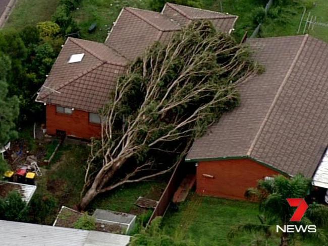 A tree landed on properties in Whalan during the freak storm. Picture: Seven News