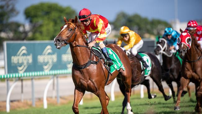 Wisdom Of Water is one to watch. Picture: AAP/Supplied by Michael McInally, Racing Queensland